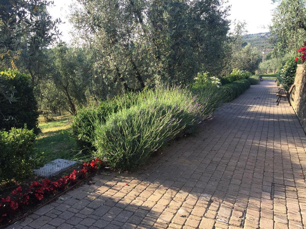 Podere Jana Antico Frantoio 芬奇 外观 照片