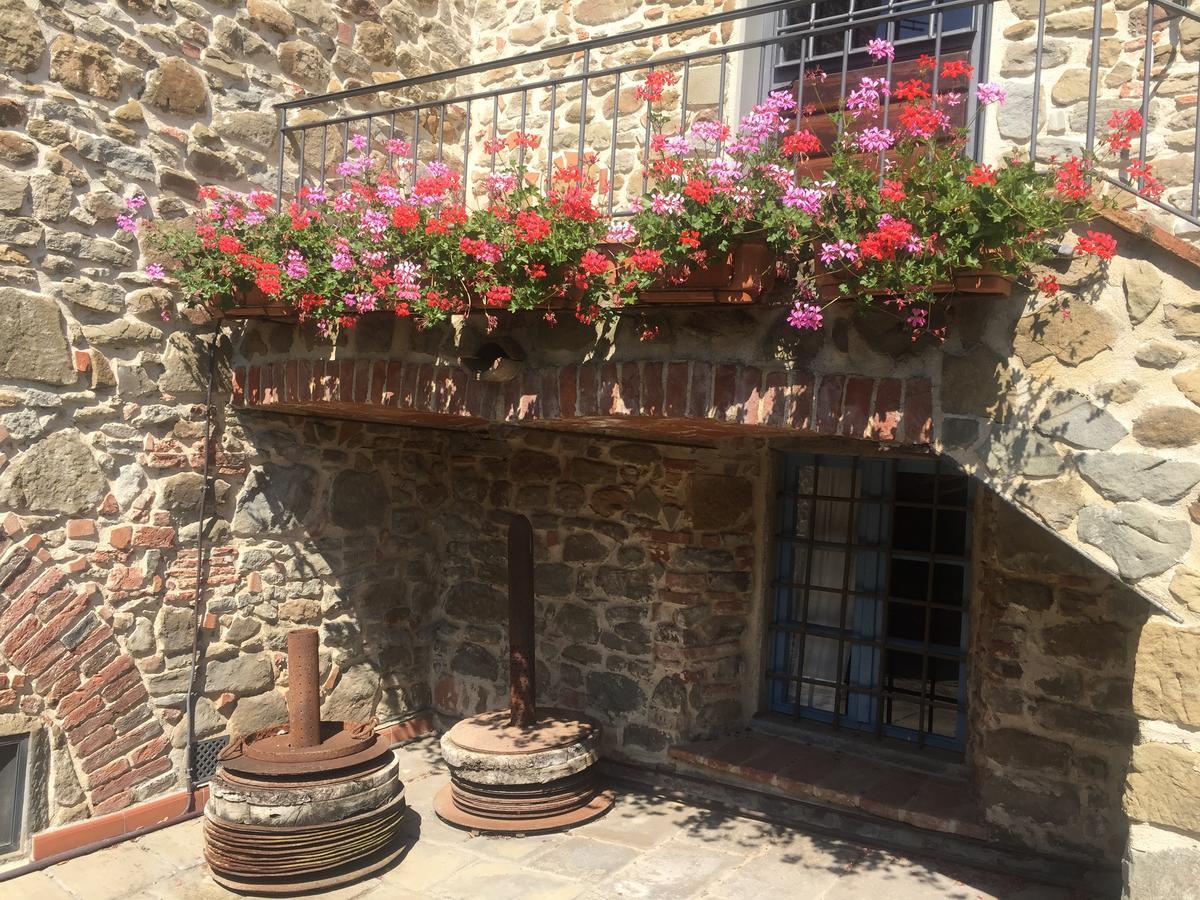 Podere Jana Antico Frantoio 芬奇 外观 照片